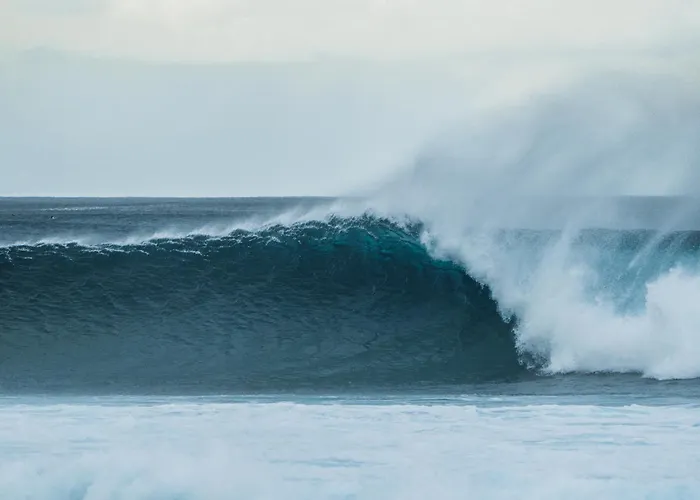 Twin Palms 'Beach House' - New Surf Front Location